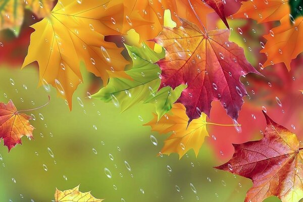 Autumn HD desktop wallpapers