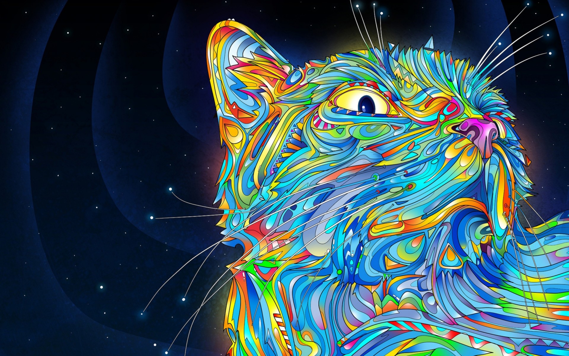 colori turbinii baffi gatto
