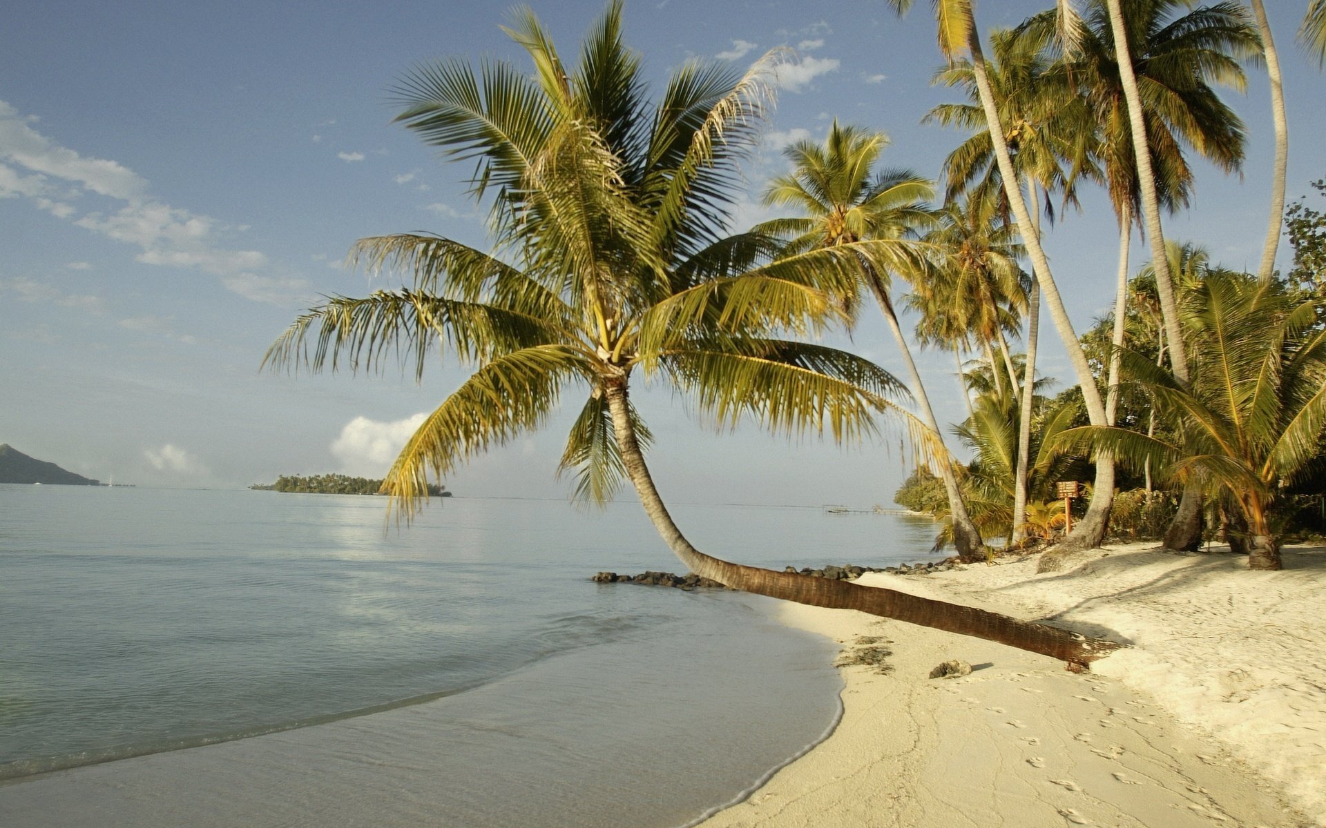 leichte brise sommer sonne strand küste palmen sand bäume inseln tropen horizont wolken spuren küste natur landschaft