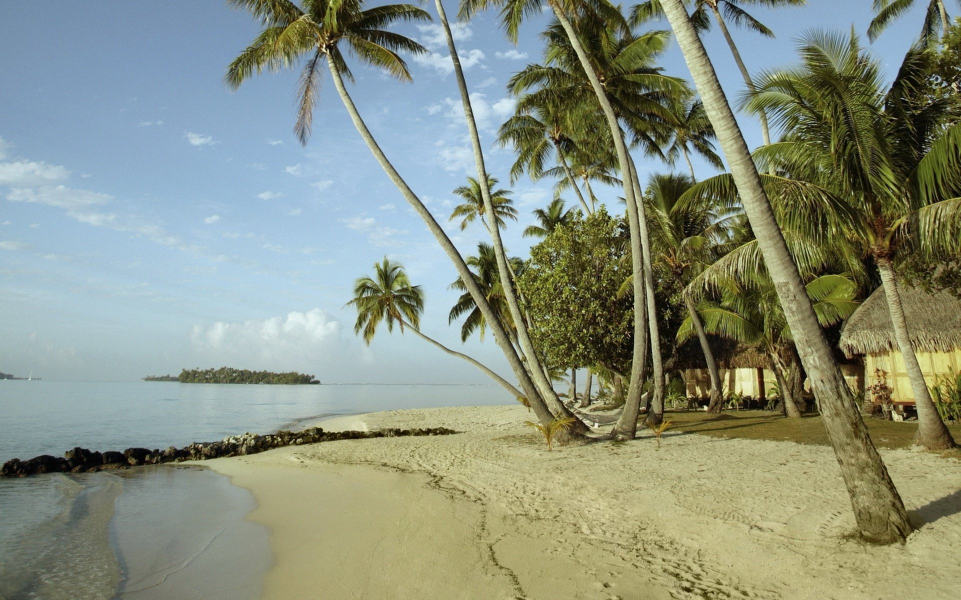 heller sand am meer vegetation strand küste palmen spuren ozean insel tropen wolken sommer hitze hitze landschaft natur sandige küste paradies