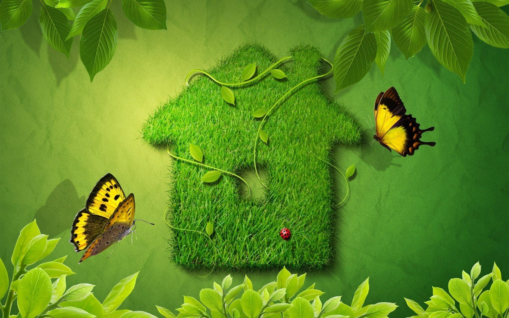 maison d herbe papillons feuilles coccinelle verdure été fond beauté