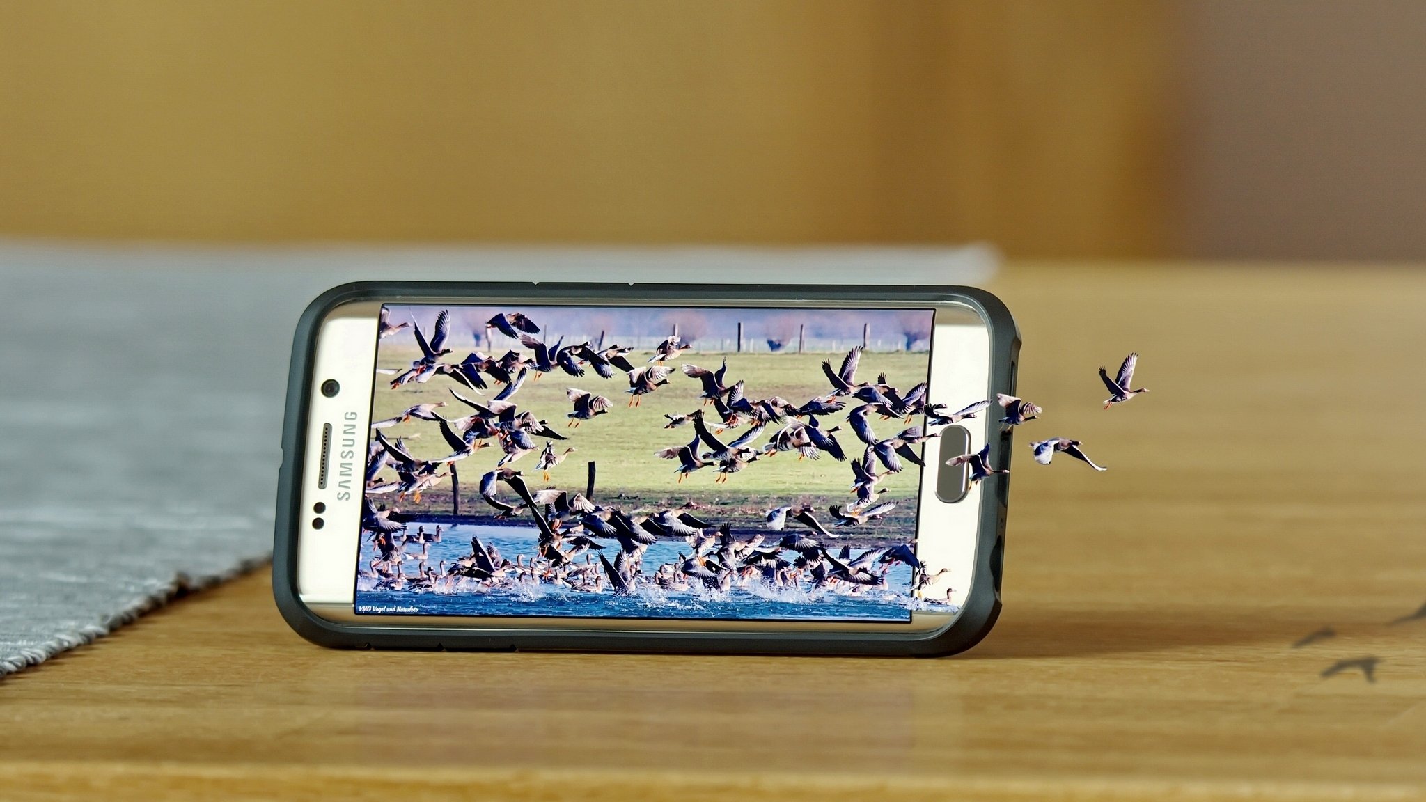 samsung galaxy s6 edge samsung smartfon natura ptaki