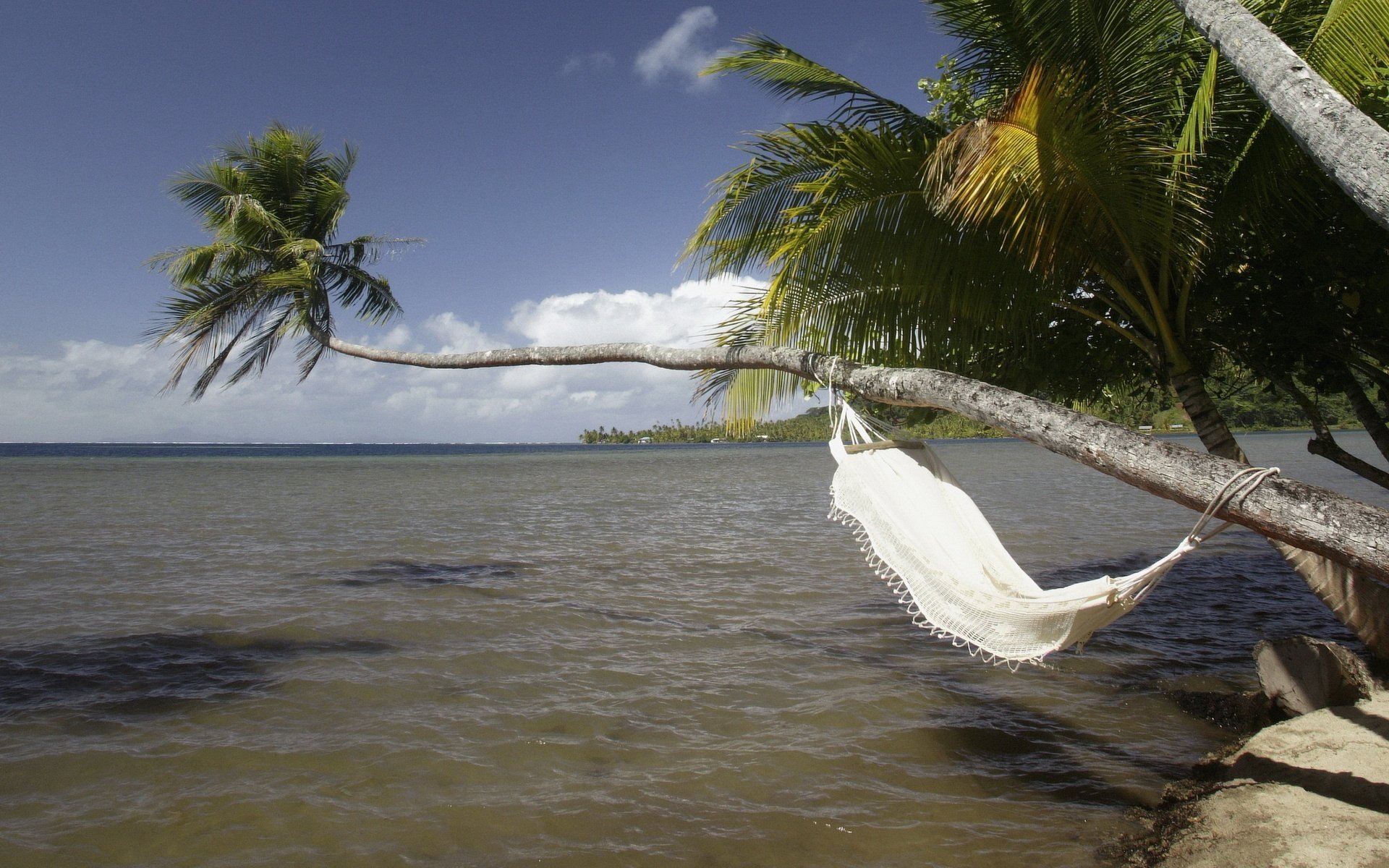 bäume hängematte über wasser kiesel wasser himmel palmen meer ufer urlaub urlaub natur landschaft horizont tropen inseln
