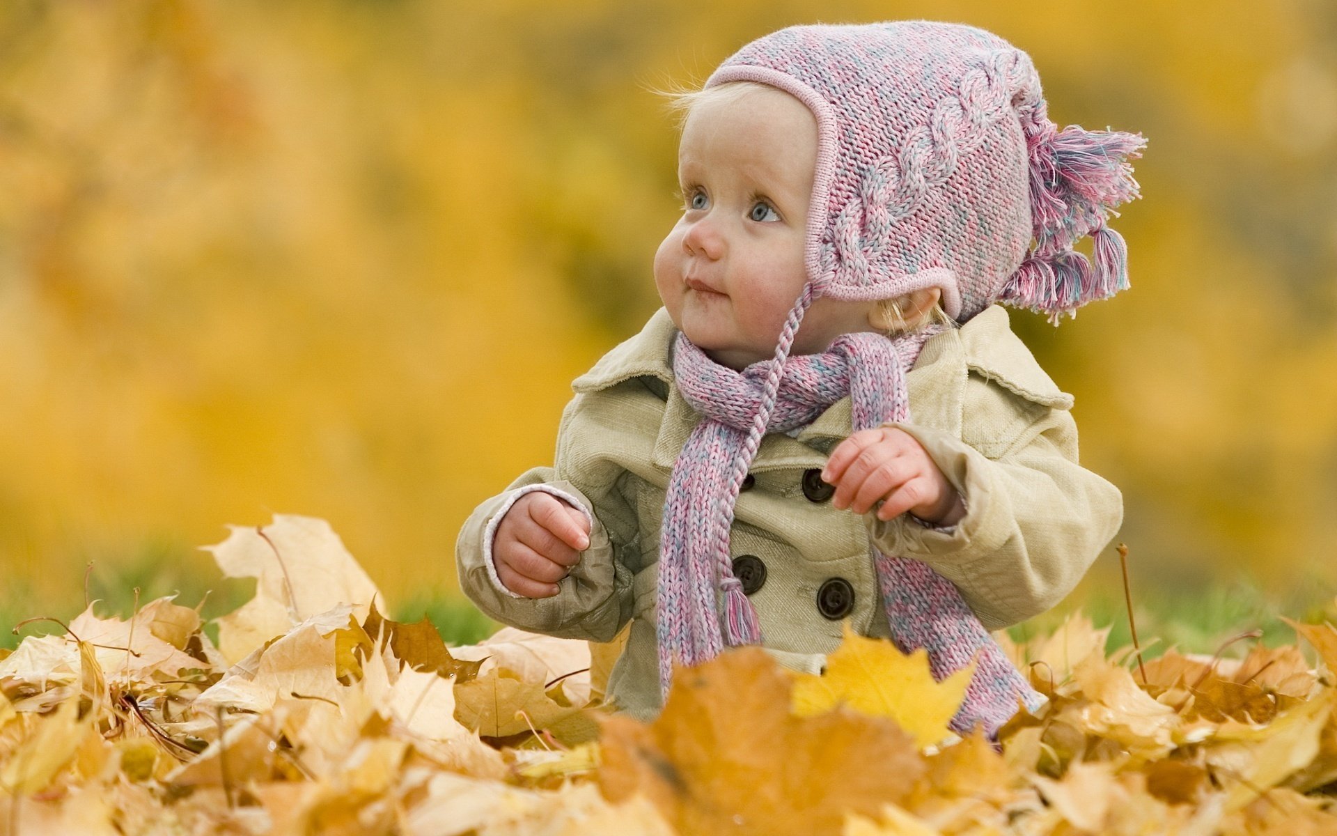 harmless opinion frightened eyes autumn leaves portrait look eyes face