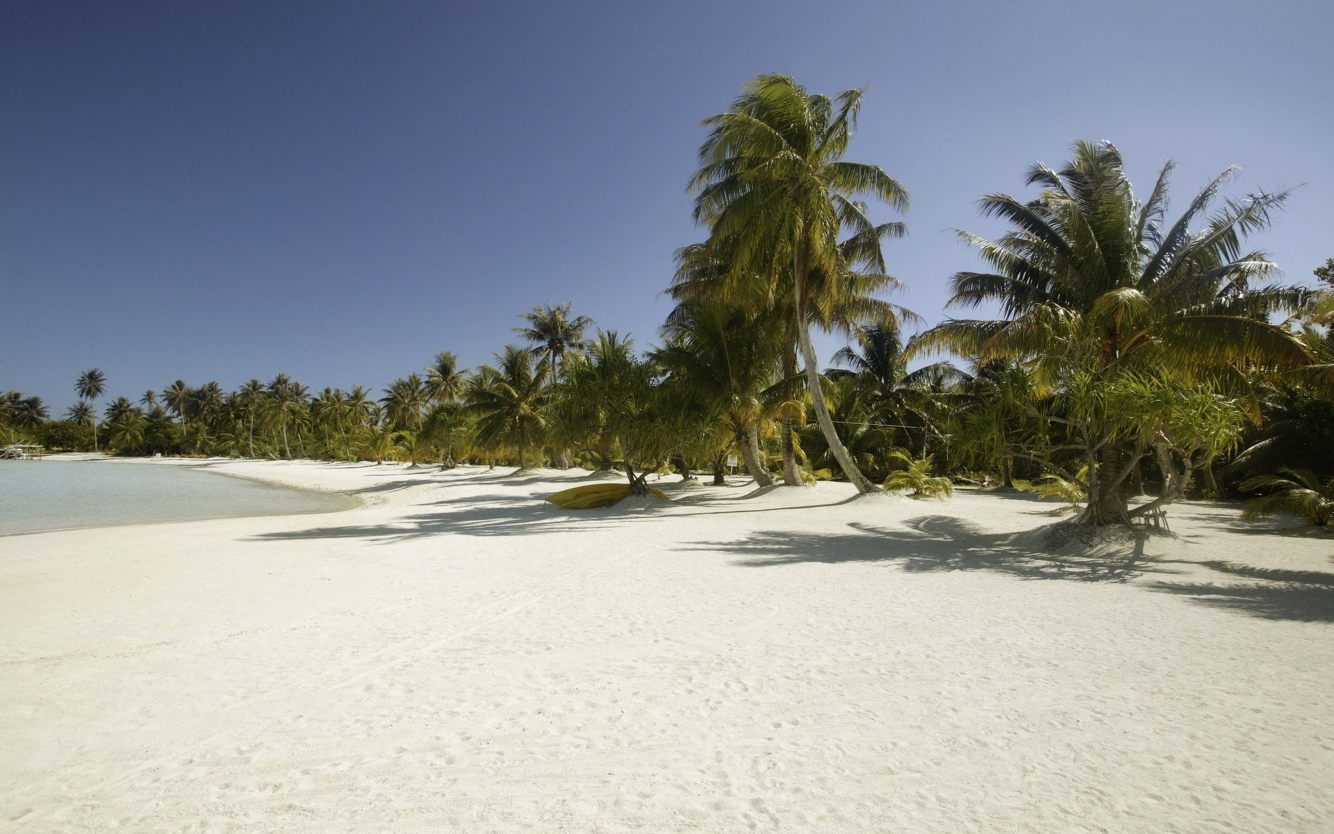 spiaggia bianca come la neve macchia tropicale sabbia spiaggia cielo palme mare isole vacanze spiaggia selvaggia paradiso estate caldo caldo