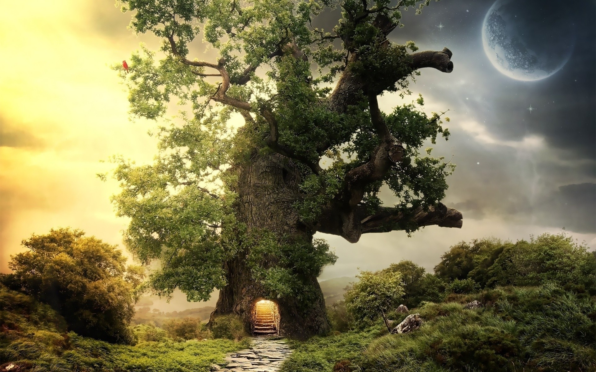 arte noche árbol camino día luna arbustos