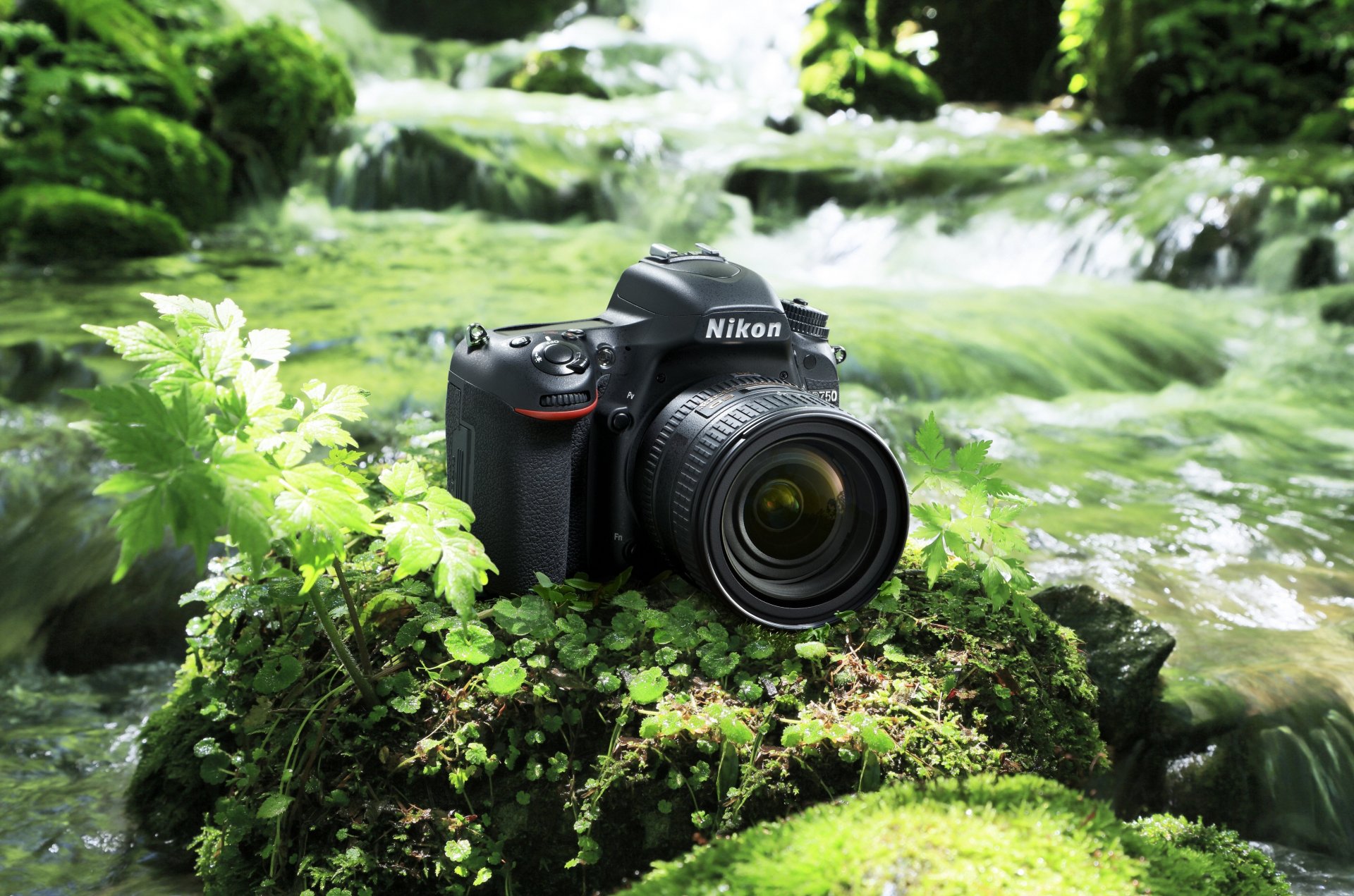 nikon d750 appareil photo reflex numérique numérique d750 d-slr nikon d750 d-slr nikon corporation appareil photo végétation rivière roche nature cuir high-tech technologie fabricant japonais japonais asiatique oriental photographie nikon