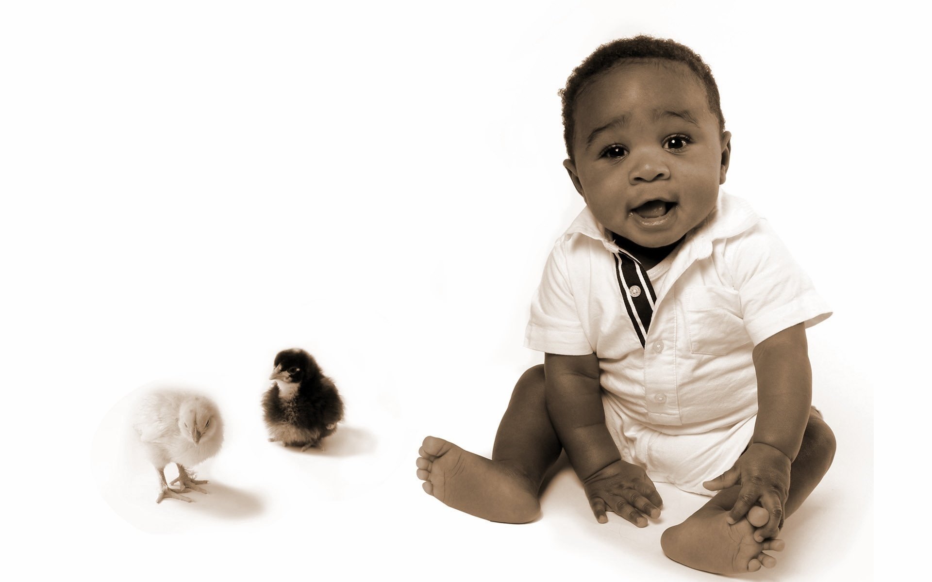 afrikanisches kind schwarz / weiß kind hühner blick augen gesicht hintergrund dunkelhäutig krümel tiere vögel