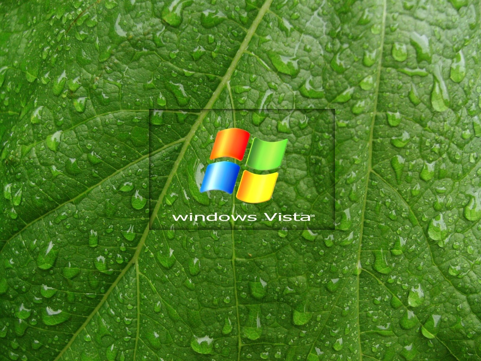 green leaf windows vista droplets emblems logo
