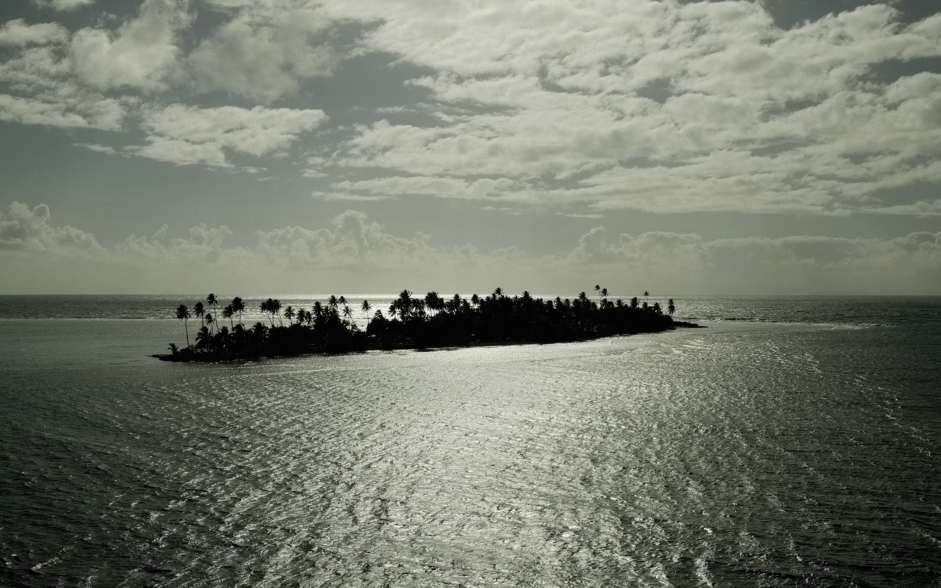 végétation tropicale îlot brise eau ciel île grisaille mer nuages nuages palmiers