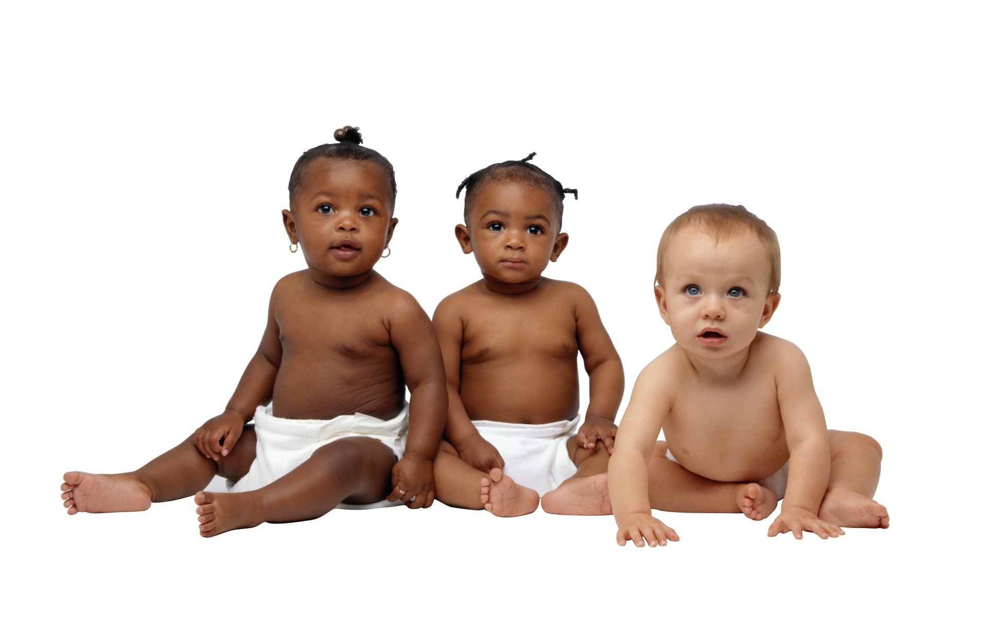 pups company dark eyes the team white background children kids crumbs restless background sitting black eyes face