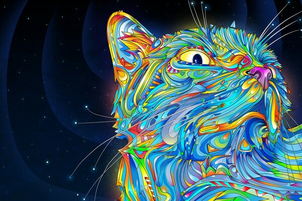 Space cat in the starry night