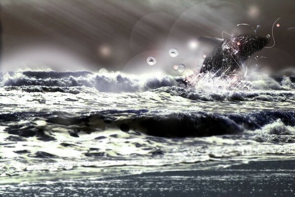 Dauphin énergique dans les vagues de la mer