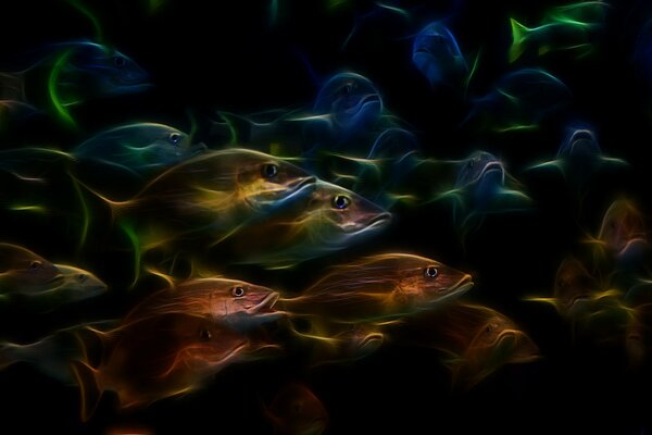 Abbildung von Glitzer und schwimmenden Fischen