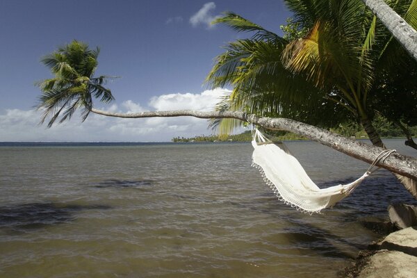 Landschaft der tropischen Insel und des Meeres