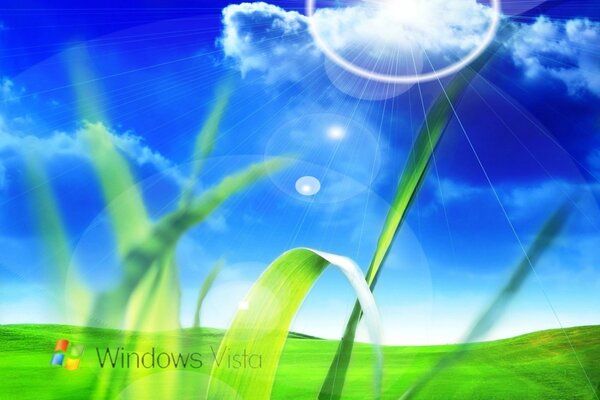 Windows Vista logo in the field