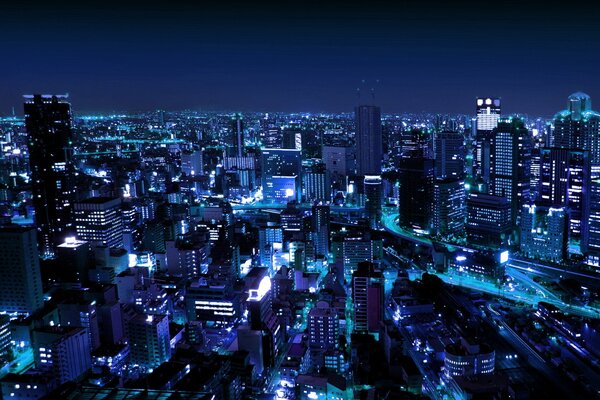 Grattacieli luminosi della metropoli notturna