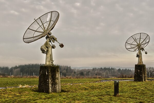 Campo con antenas en el fondo de un bosque denso
