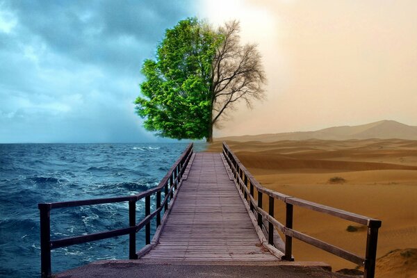 Un árbol y no había un solo hombre