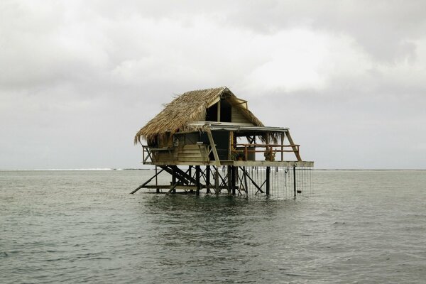 Maison de paille sur pilotis au milieu de l eau