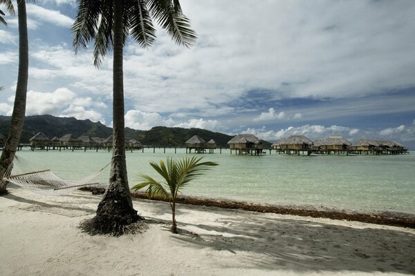Vacances dans un climat tropical dans une cabane sur l eau