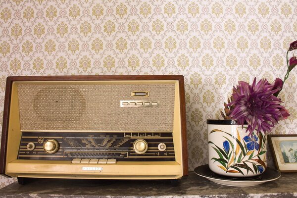 Retro Radio i kwiat w doniczce