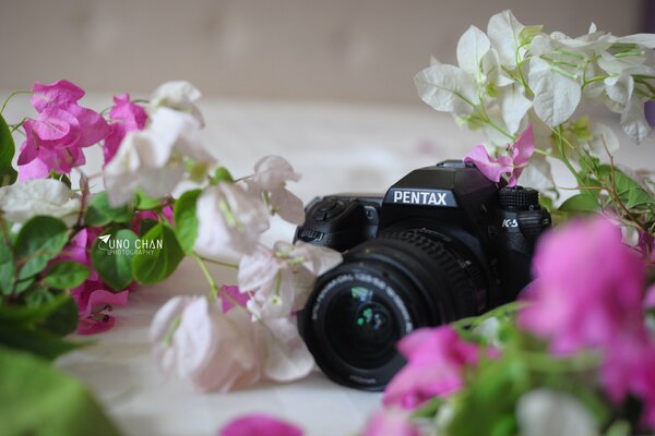 Schwarze Kamera auf einem Hintergrund von Blumen