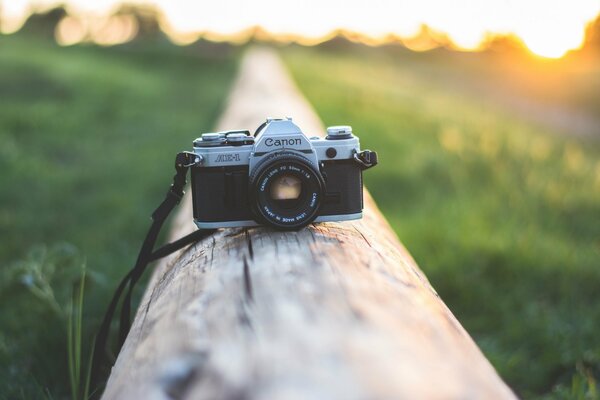 Ancien appareil photo Canon sur une bûche avec un arrière-plan flou