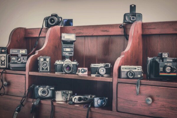 Molte macchine fotografiche stanno sugli scaffali