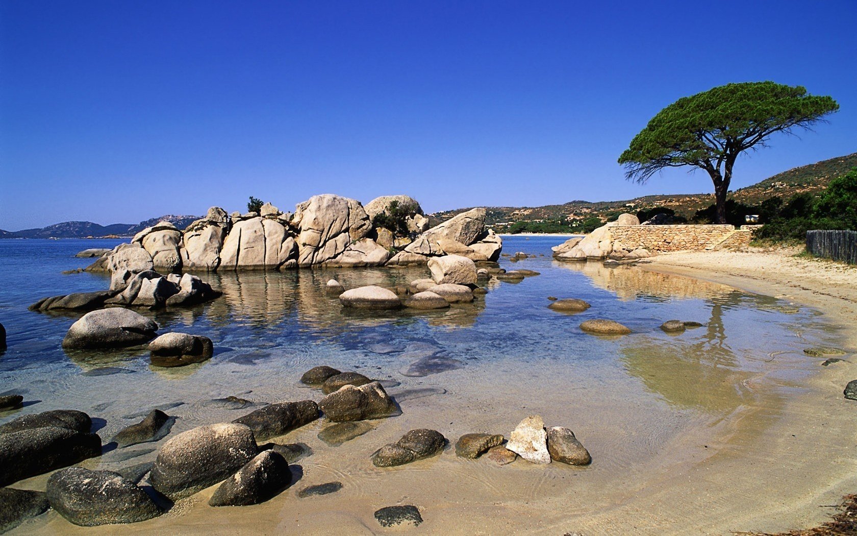 tropical tree stones white water sky shore blue sky surf nature landscape cobblestones coast beach paradise tree