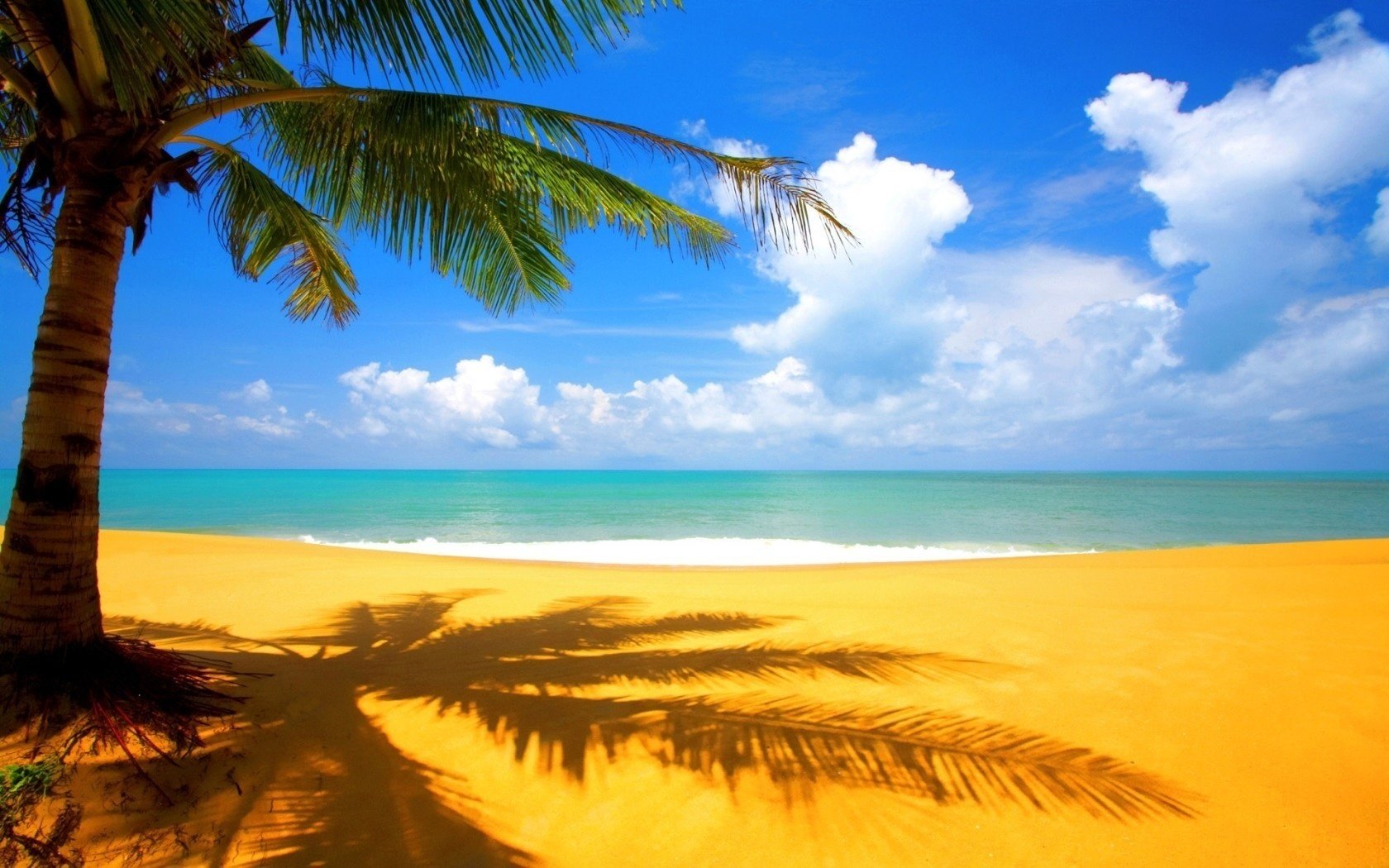 sable de feu vieux palmier air marin plage eau ciel côte palmiers mer océan surf vagues horizon ciel bleu paysage paradis tropiques chaleur nuages