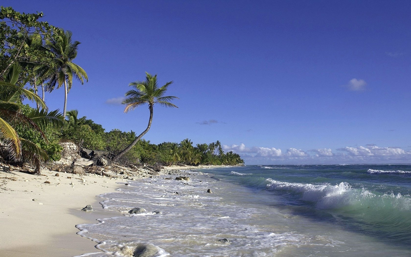 leichter sturm wellen tropische pflanzen strand wasser himmel meer brise insel palme sonne horizont sommer paradies wolken brandung ufer