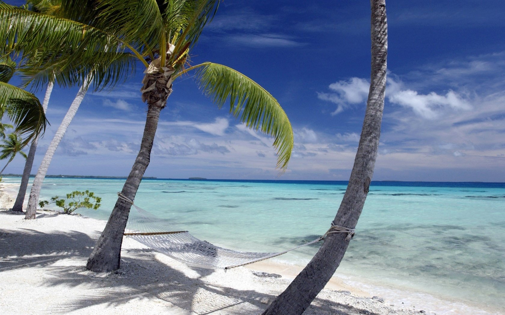 hängematte palme wasser strand himmel