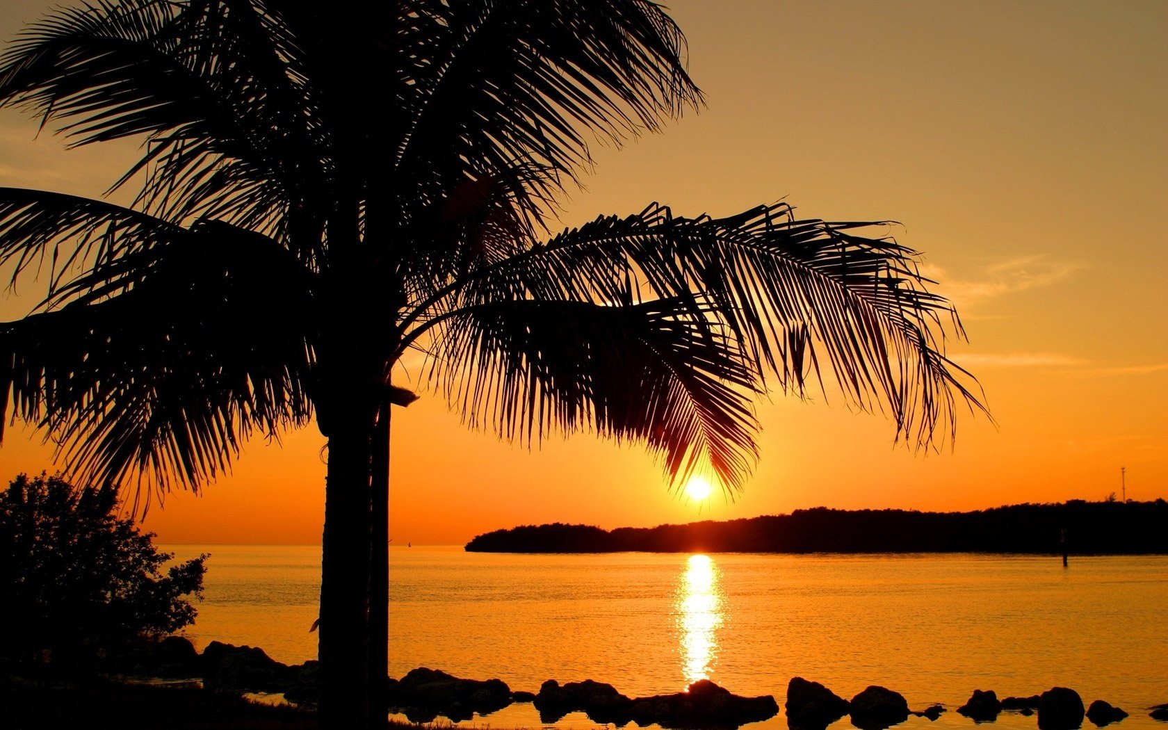 ramas exuberantes puesta de sol árbol solitario agua palmera piedras isla mar resort trópicos camino en el agua sol noche paisaje naturaleza