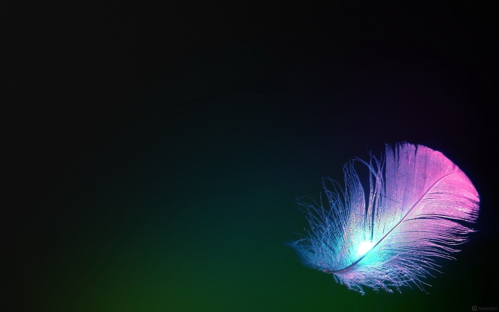 delicate feather a light in the distance minimalism mediocrity pen background