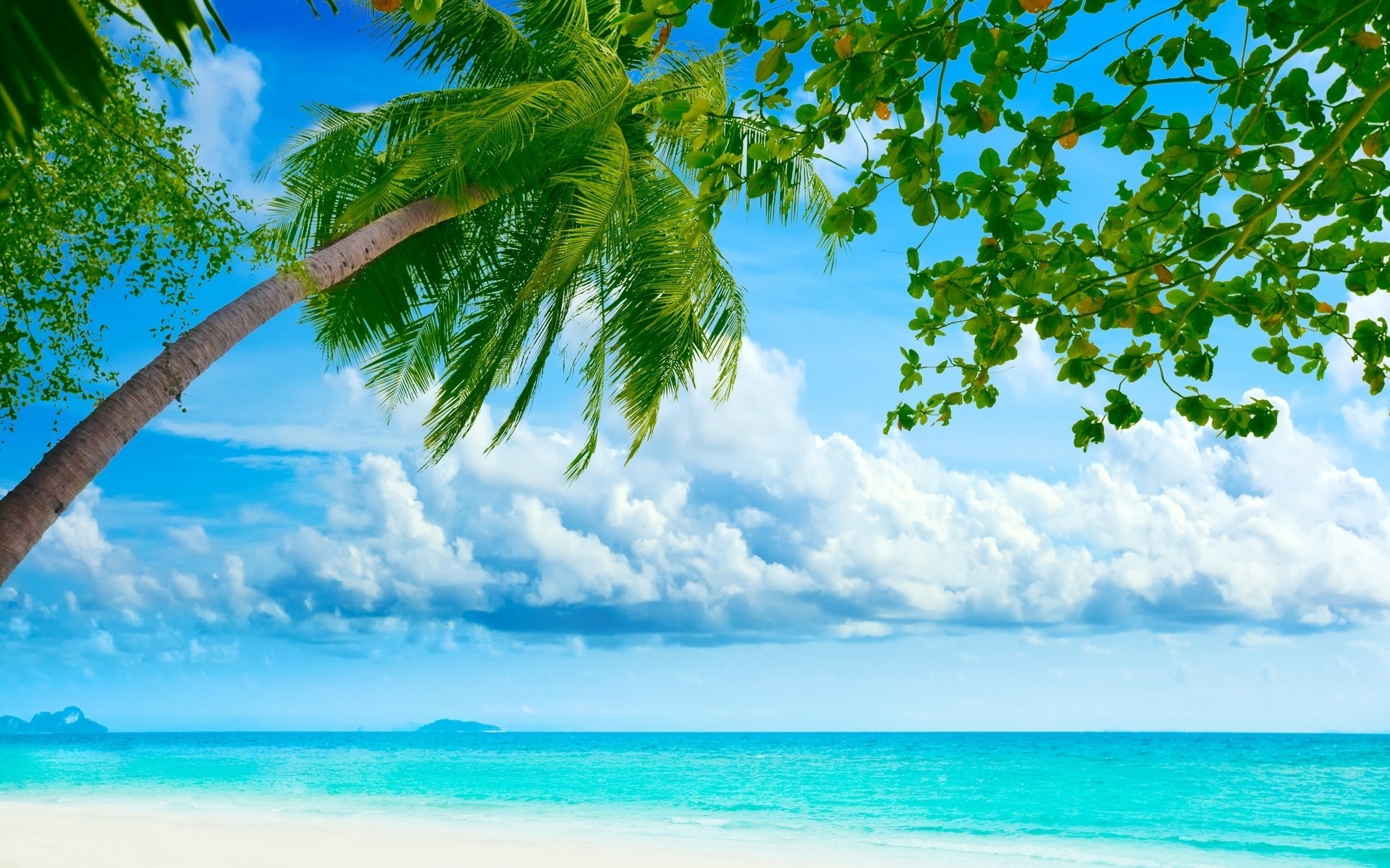 floating clouds rich green plants the sky sea water beach summer the sun heat wave mood palm tree