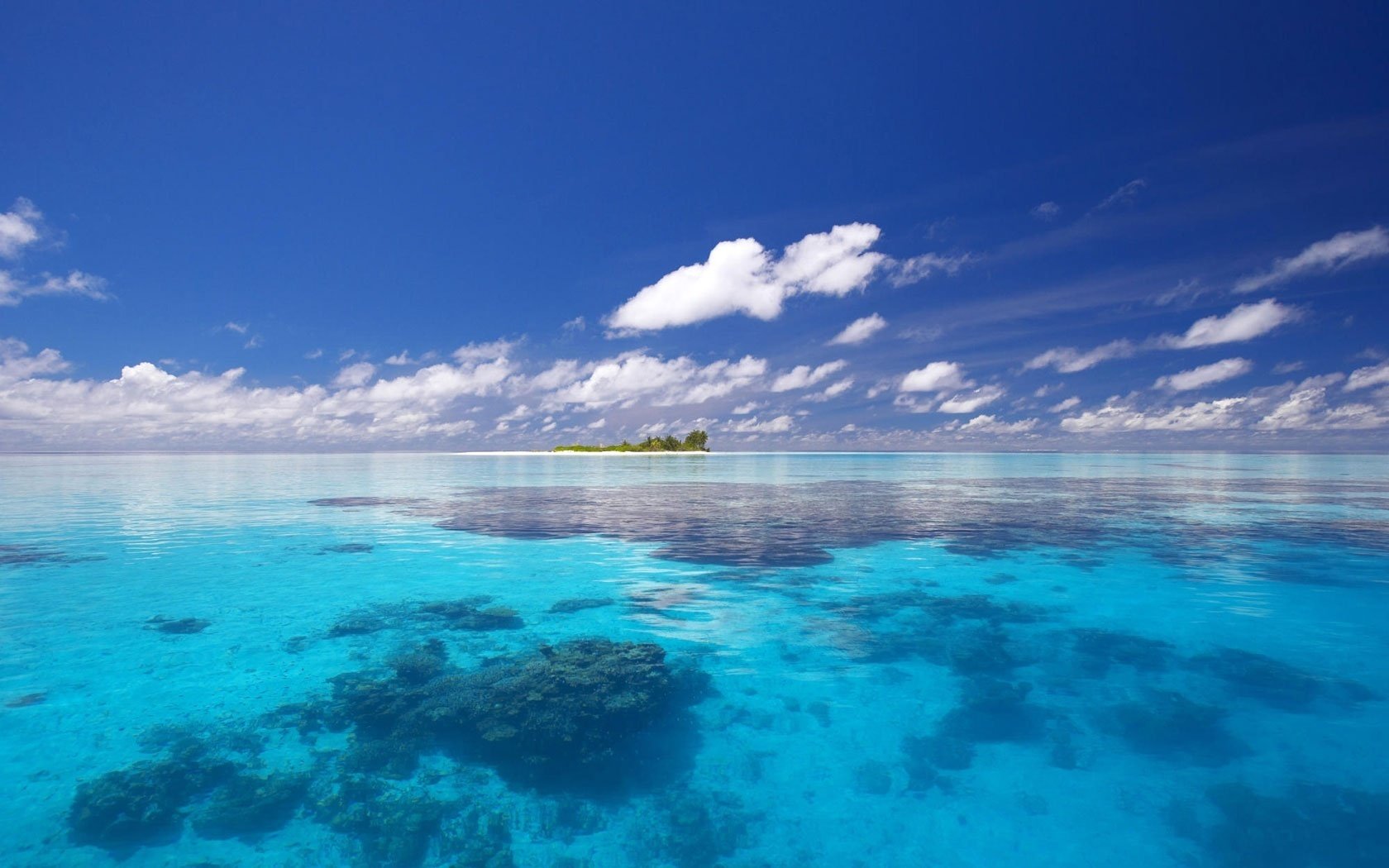 unterwasserpflanzen salzwasser sonnenlicht wasser himmel meer insel horizont tropen wolken sommer hitze blau azurblau paradies