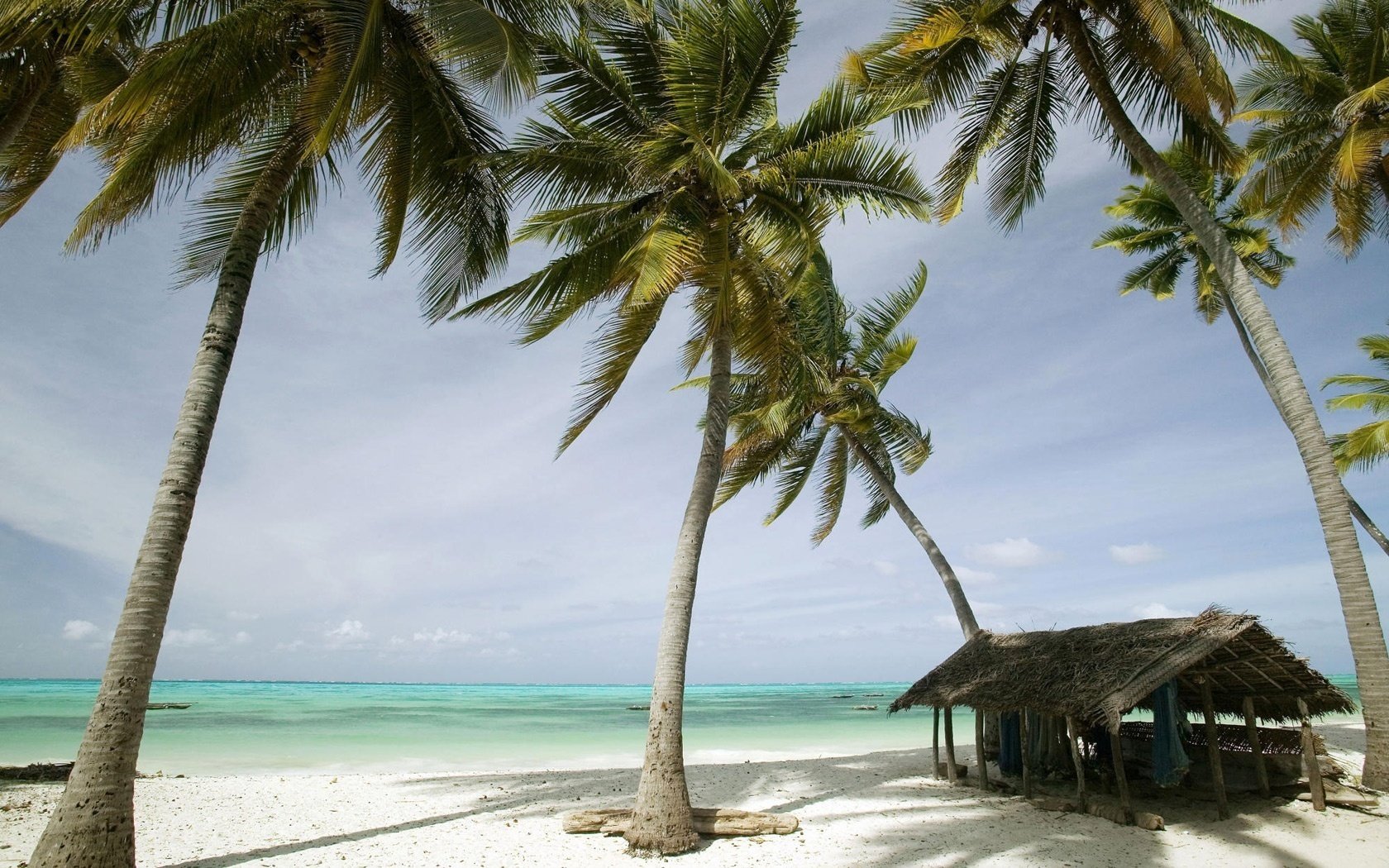 structure en bois tempête vent plage eau côte ciel palmiers horizon océan nature paysage arbres sable surf maison tropiques été loisirs