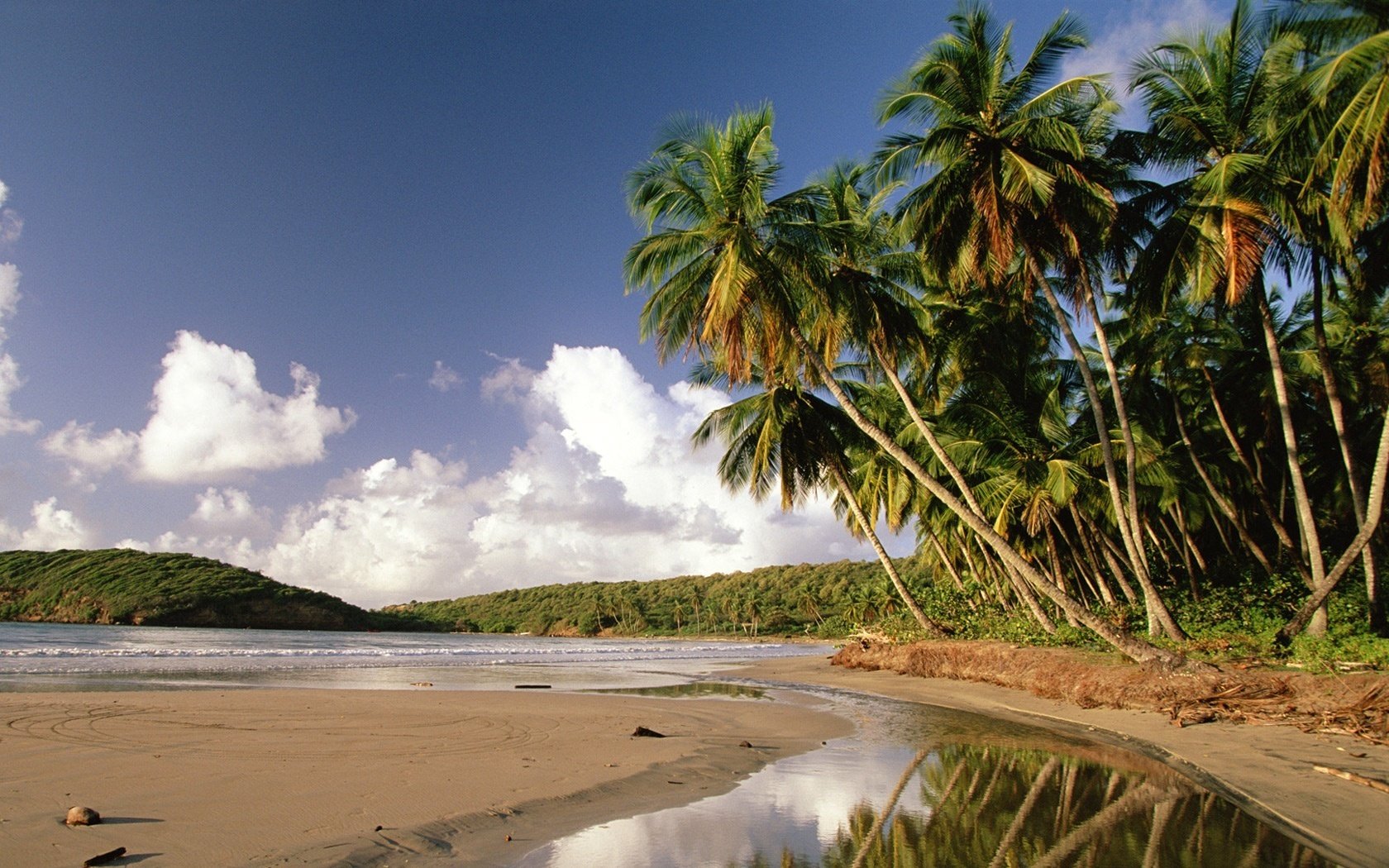 bosque de palmeras espejo cielo oscuro agua costa cielo palmeras isla nubes naturaleza paraíso trópicos mar olas surf arena vegetación exótico