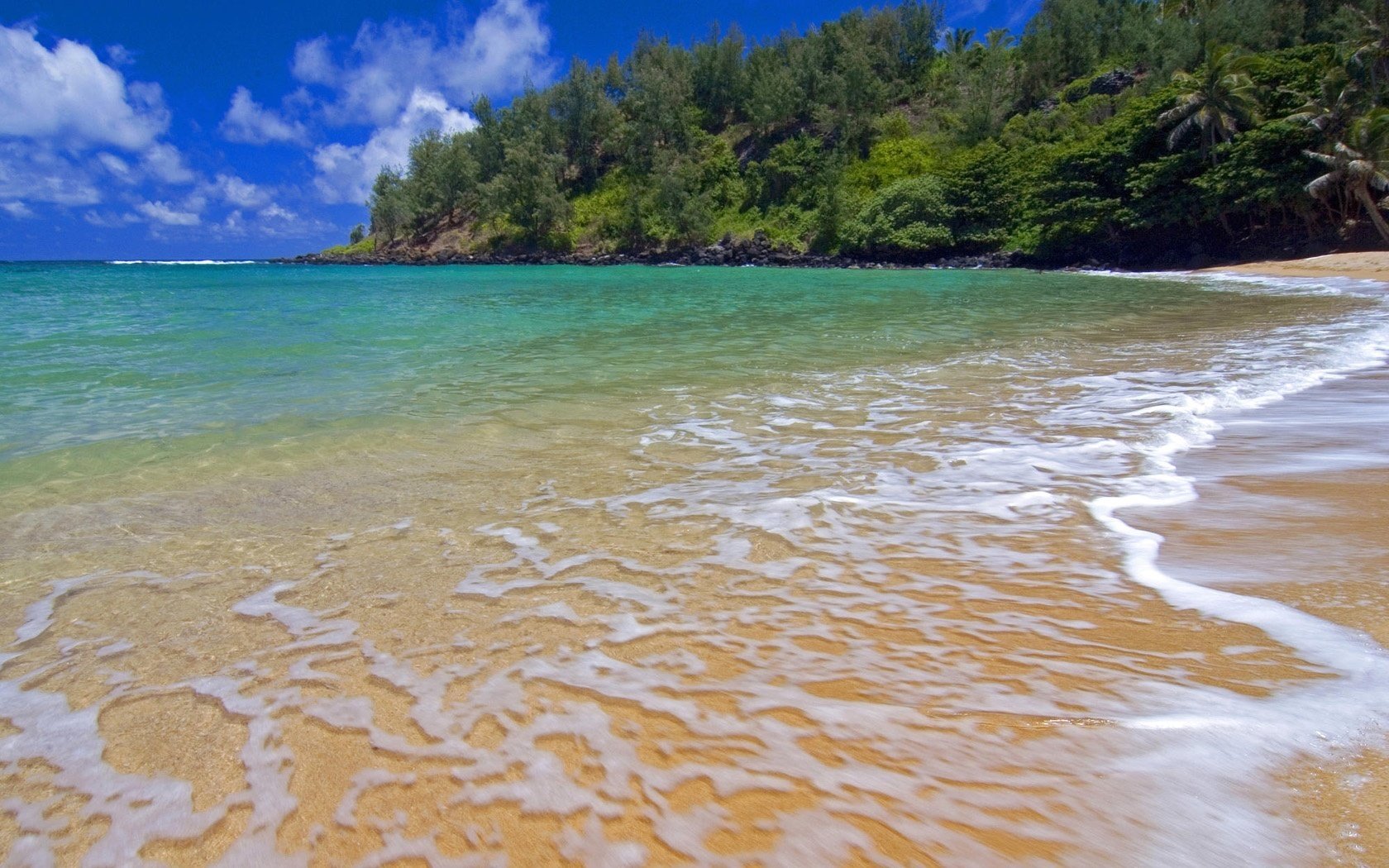 теплые лучи пена на воде лесок вода берег небо