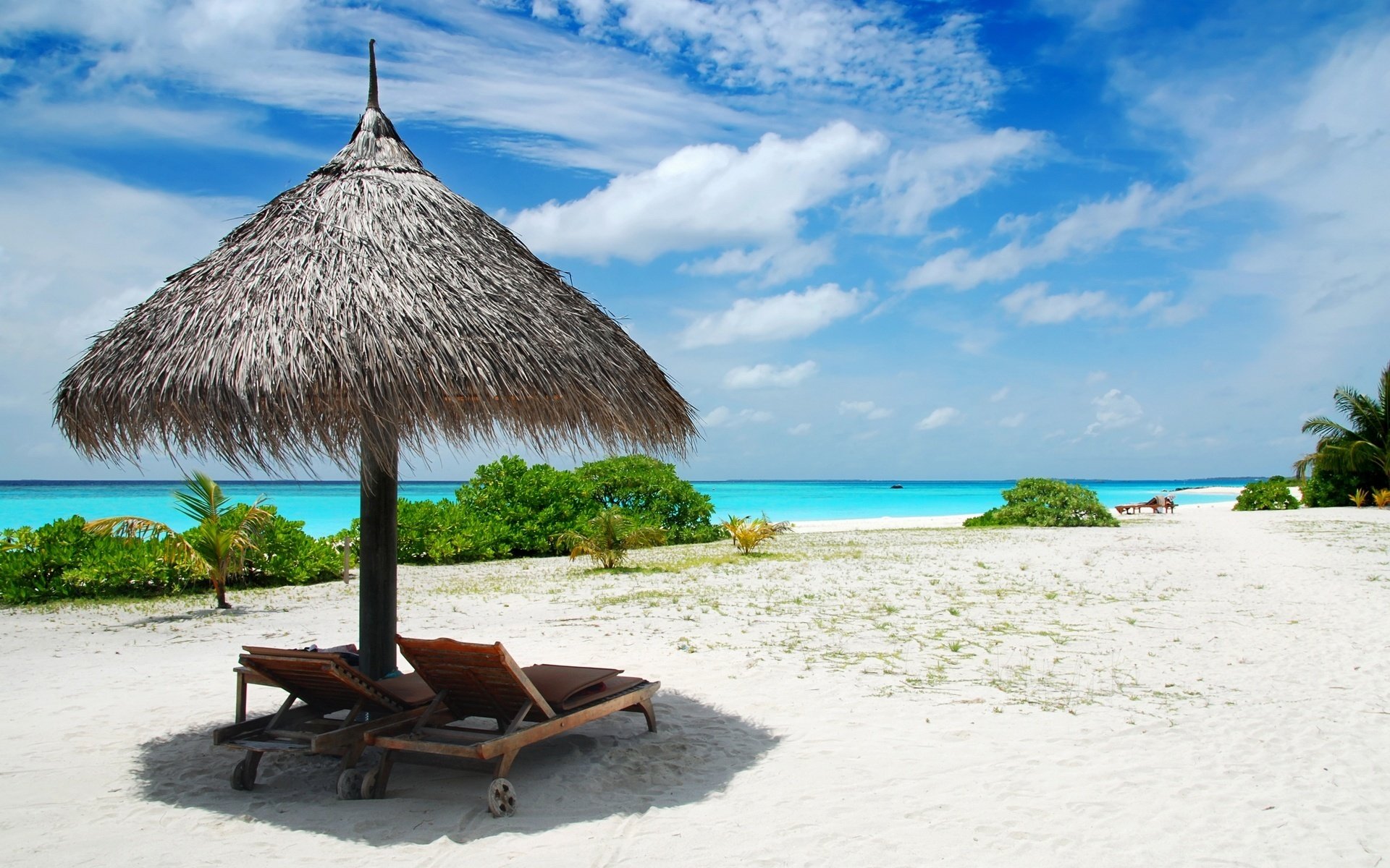 ombrello di paglia tempo di riposo brezza spiaggia cielo riva mare oceano sedie a sdraio resort vacanze vacanze estate caldo caldo natura paesaggio nuvole cespugli piante