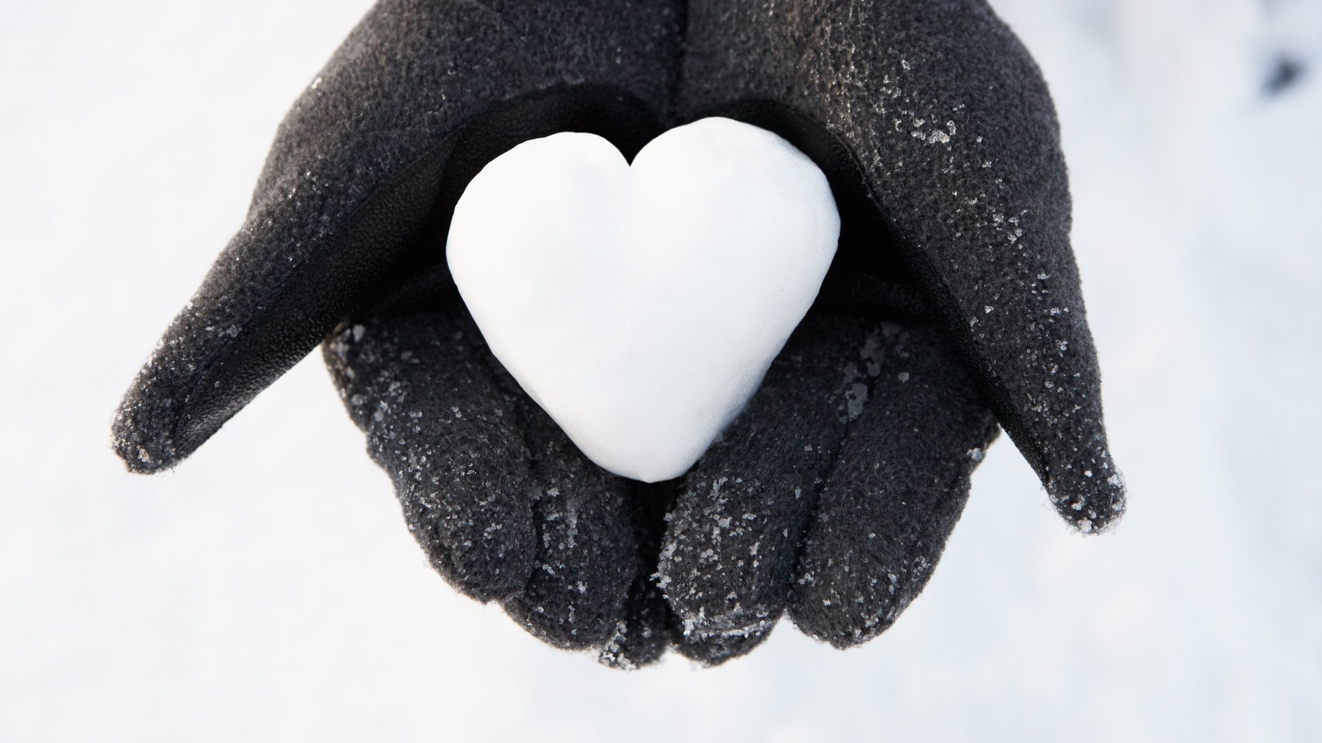 coeur de neige tortilla gants noirs hiver noir mains neige reconnaissance amour tendresse romance sentiments