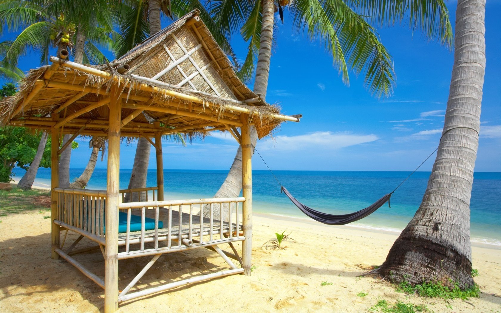 hängematte ferienhaus strohdach strand wasser ufer himmel palmen pavillon erholung insel horizont natur tropen landschaft paradies hitze sommer hitze