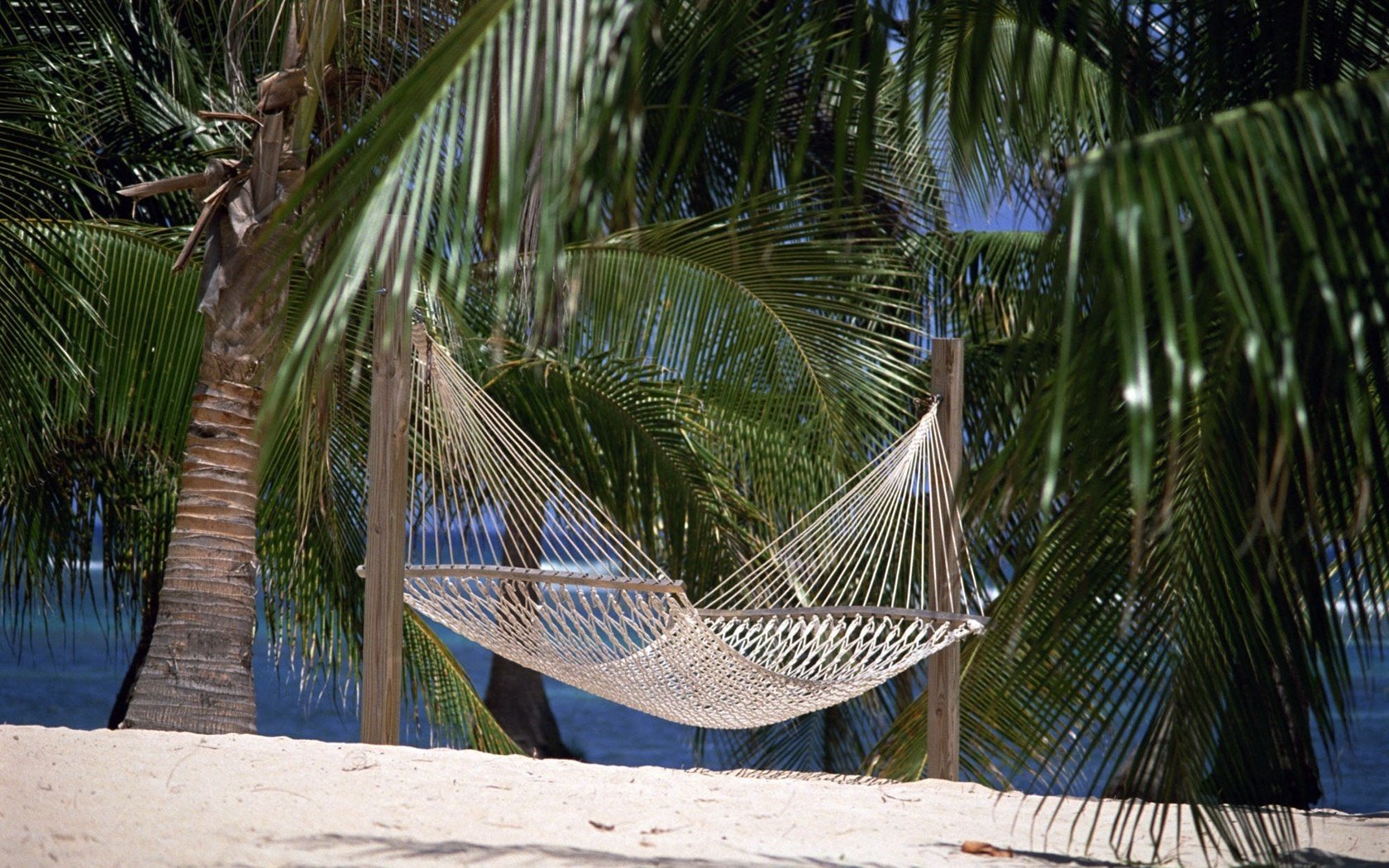 palmzweige hängematte schatten hitze palmen tropen sommer sand strand ufer paradies erholung natur landschaft stille bäume grün kühle