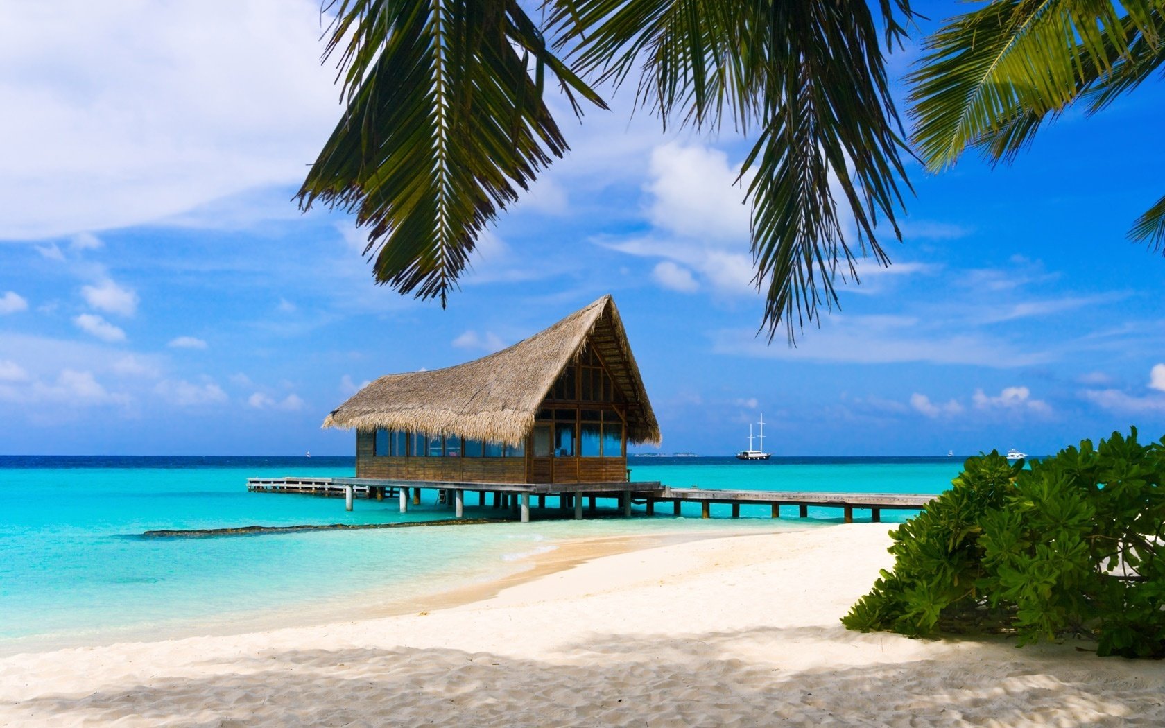 pêche locale quai maison en bois plage eau côte ciel palmiers tropiques jetée mer île nuages nature paysage été chaleur chaleur horizon bleu azur yacht toit de chaume