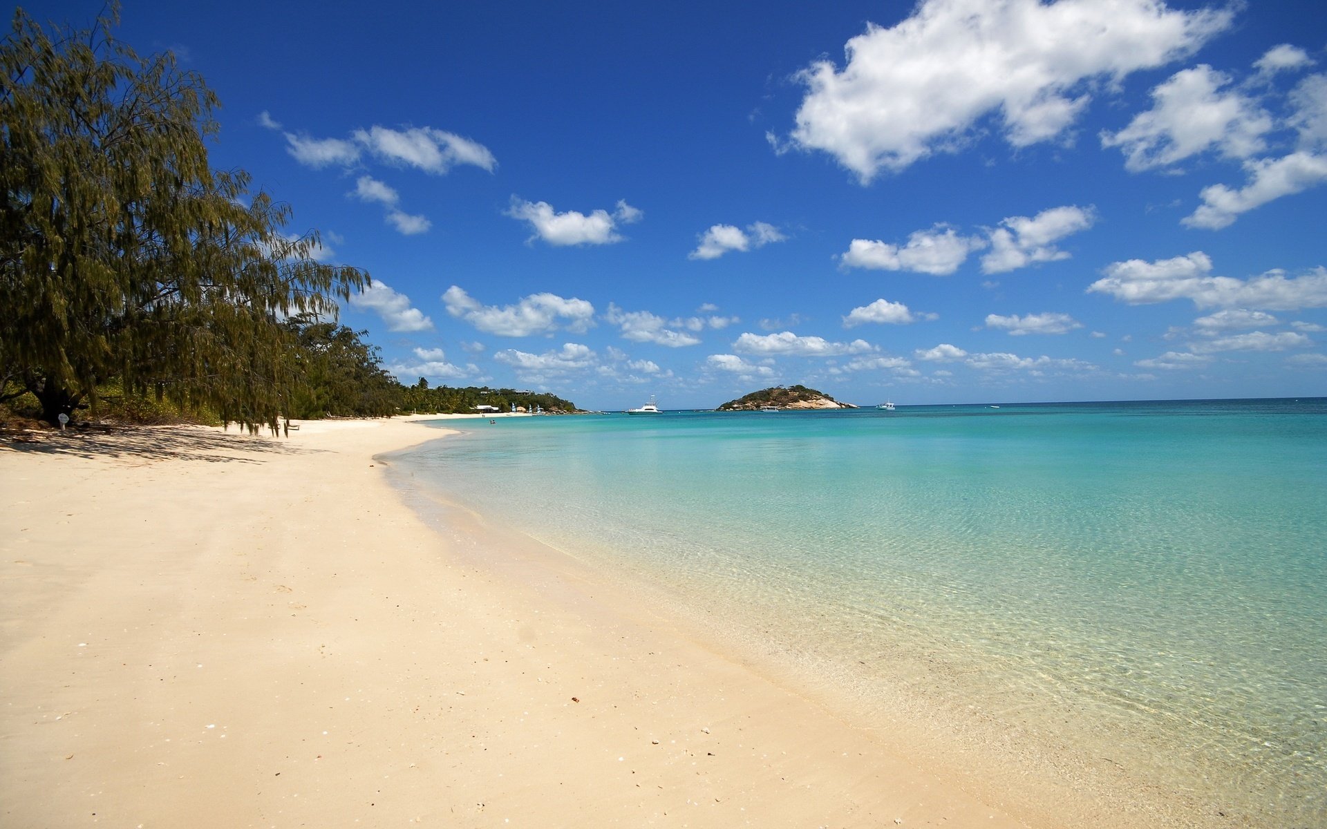 unlight vegetation beach area beach water the sky shore cote d azur horizon clouds coast sand