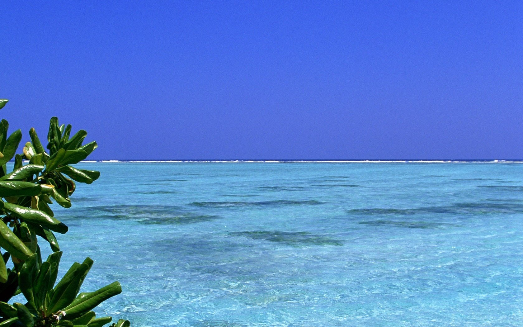 moulin calme vodichka bleu feuilles eau ciel mer horizon paysage nature bleu azur