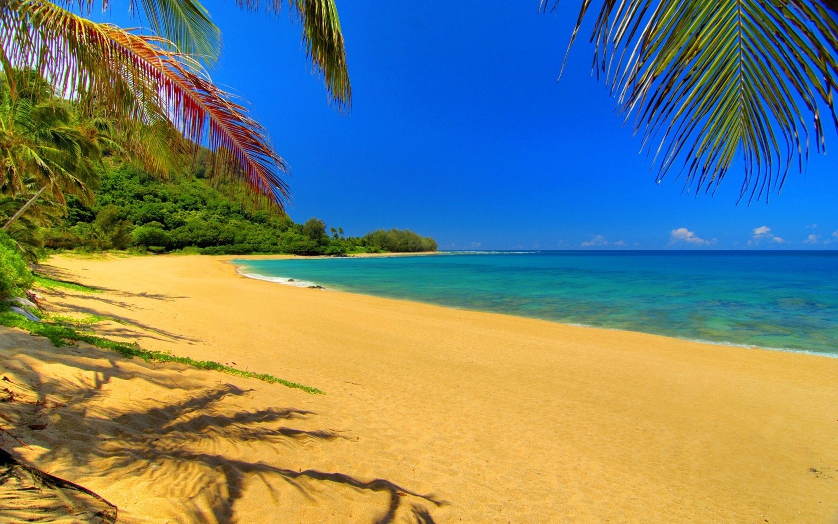 gelber sand blaues wasser helles bild paradies strand wasser himmel küste horizont landschaft meer brandung küste hitze sommer tropen palmen vegetation grün sand