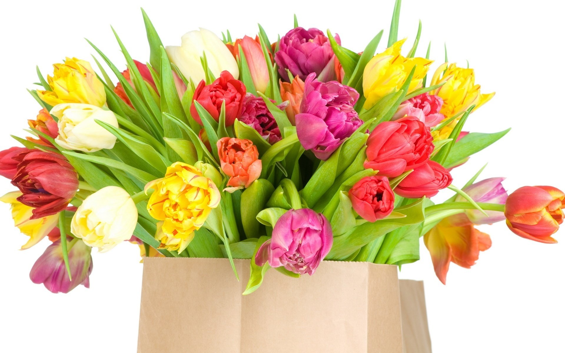 blumenstrauß auf bestellung wärmen sie die seele blumen bunte tulpen blumenstrauß