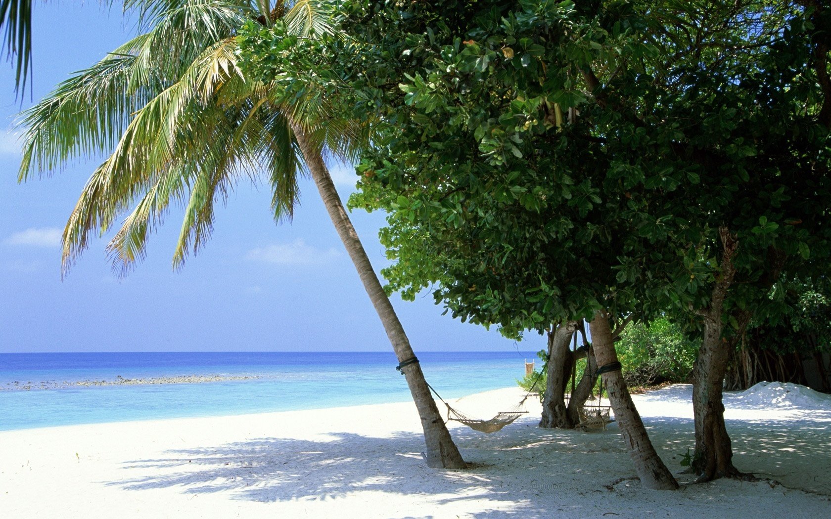 hamac sur arbre ombre arbres plage côte mer horizon nature paysage vacances vacances sable tropiques côte nuages été